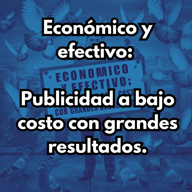 Económico y efectivo